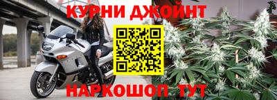 индика Сланцы