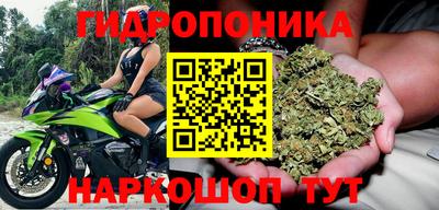 ECSTASY Славгород