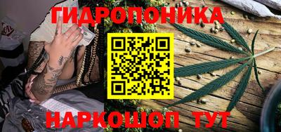 ECSTASY Славгород