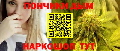 индика Сланцы