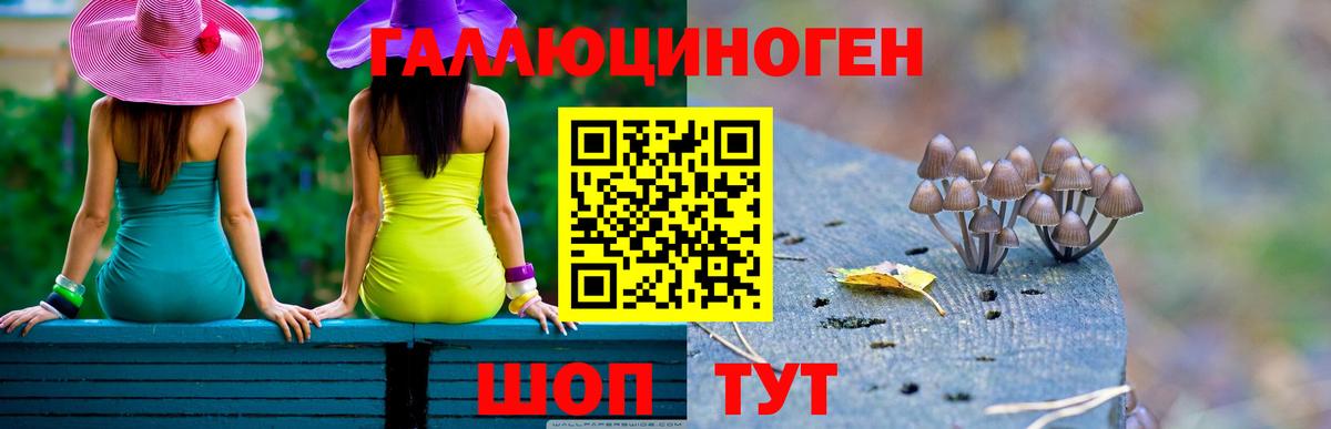 Фурманов  Псилоцибиновые грибы мухоморы  Вход с VPN 